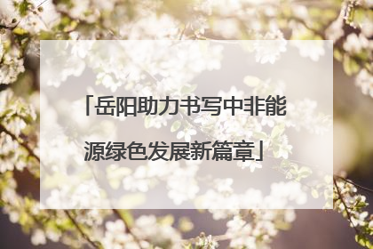 岳阳助力书写中非能源绿色发展新篇章