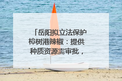 岳阳拟立法保护樟树港辣椒：提供种质资源需审批，违规最高罚5万
