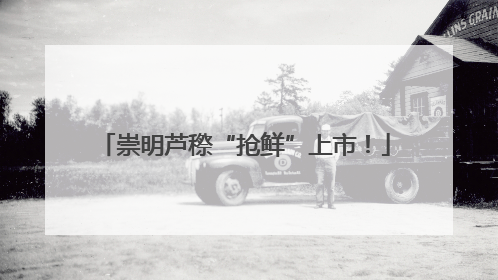 崇明芦穄“抢鲜”上市！