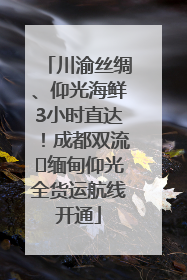 川渝丝绸、仰光海鲜3小时直达！成都双流⇌缅甸仰光全货运航线开通
