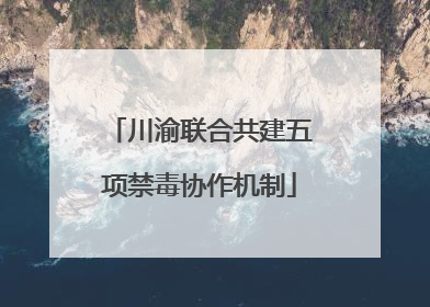川渝联合共建五项禁毒协作机制