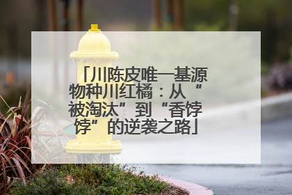 川陈皮唯一基源物种川红橘：从“被淘汰”到“香饽饽”的逆袭之路