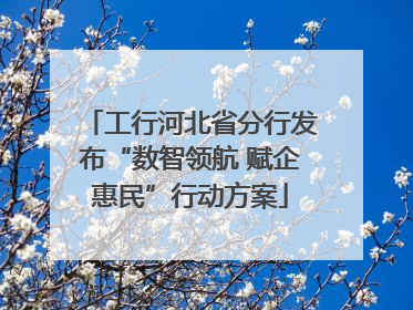 工行河北省分行发布“数智领航 赋企惠民”行动方案