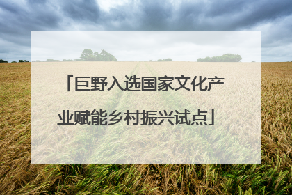 巨野入选国家文化产业赋能乡村振兴试点