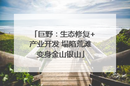 巨野：生态修复+产业开发 塌陷荒滩变身金山银山