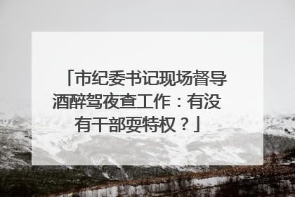 市纪委书记现场督导酒醉驾夜查工作：有没有干部耍特权？
