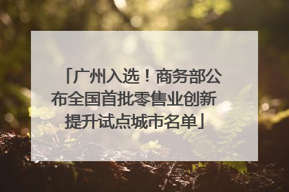 广州入选！商务部公布全国首批零售业创新提升试点城市名单
