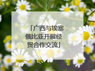 广西与埃塞俄比亚开展经贸合作交流