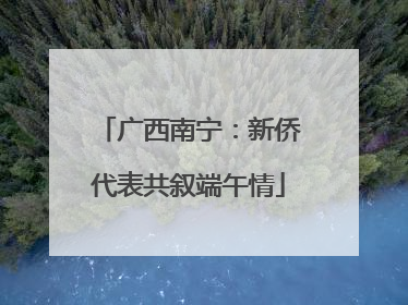 广西南宁：新侨代表共叙端午情