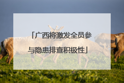 广西将激发全员参与隐患排查积极性