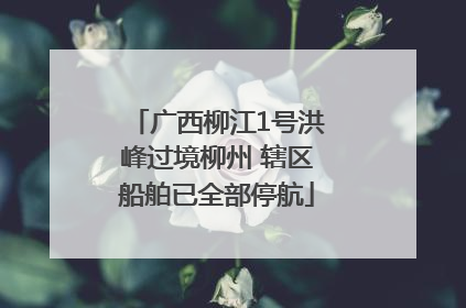 广西柳江1号洪峰过境柳州 辖区船舶已全部停航