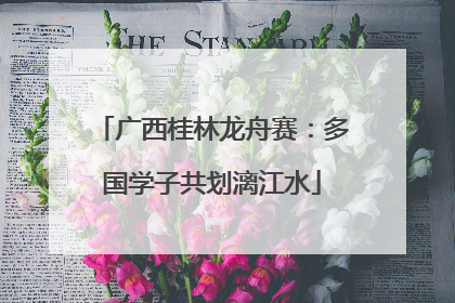 广西桂林龙舟赛：多国学子共划漓江水