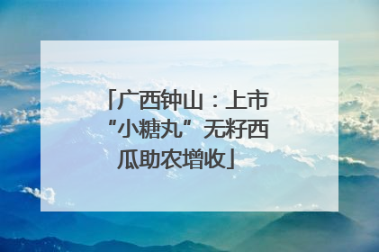 广西钟山：上市“小糖丸”无籽西瓜助农增收