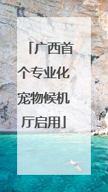 广西首个专业化宠物候机厅启用