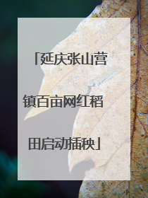 延庆张山营镇百亩网红稻田启动插秧