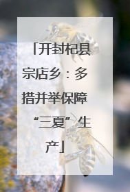 开封杞县宗店乡：多措并举保障“三夏”生产