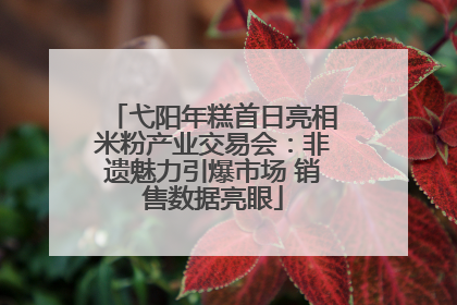 弋阳年糕首日亮相米粉产业交易会：非遗魅力引爆市场 销售数据亮眼