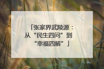张家界武陵源：从“民生四问”到“幸福四解”
