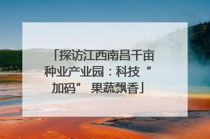 探访江西南昌千亩种业产业园：科技“加码” 果蔬飘香