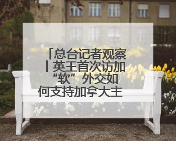 总台记者观察丨英王首次访加 “软”外交如何支持加拿大主权？