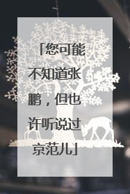 您可能不知道张鹏，但也许听说过京范儿
