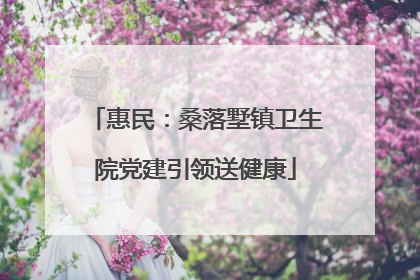 惠民：桑落墅镇卫生院党建引领送健康