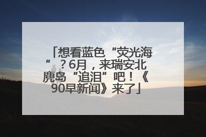 想看蓝色“荧光海”？6月，来瑞安北麂岛“追泪”吧！《90早新闻》来了