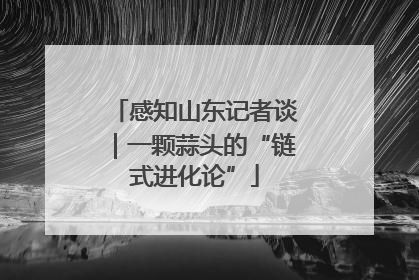 感知山东记者谈｜一颗蒜头的“链式进化论”