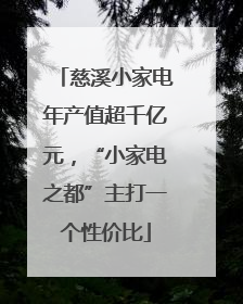 慈溪小家电年产值超千亿元，“小家电之都”主打一个性价比