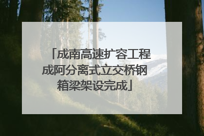 成南高速扩容工程成阿分离式立交桥钢箱梁架设完成