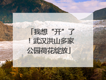 我想“开”了！武汉洪山多家公园荷花绽放
