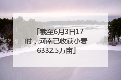 截至6月3日17时，河南已收获小麦6332.5万亩