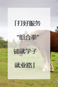 打好服务“组合拳” 铺就学子就业路