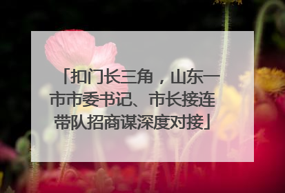 扣门长三角，山东一市市委书记、市长接连带队招商谋深度对接