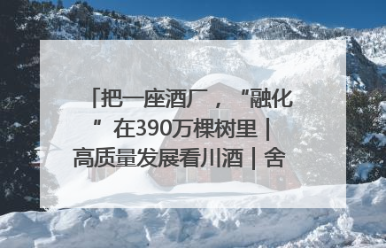 把一座酒厂，“融化”在390万棵树里｜高质量发展看川酒｜舍得酒｜舍得酒业｜舍得老酒｜沱牌酒