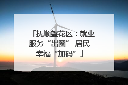 抚顺望花区：就业服务“出圈” 居民幸福“加码”