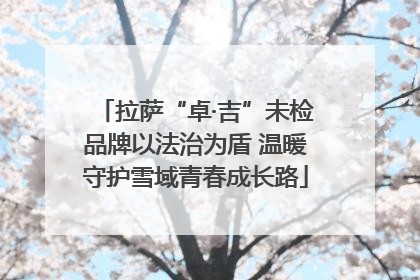 拉萨“卓·吉”未检品牌以法治为盾 温暖守护雪域青春成长路