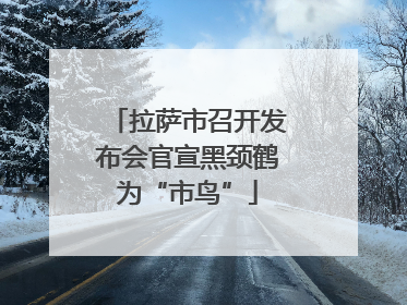 拉萨市召开发布会官宣黑颈鹤为“市鸟”