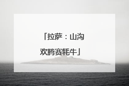 拉萨：山沟欢腾赛牦牛