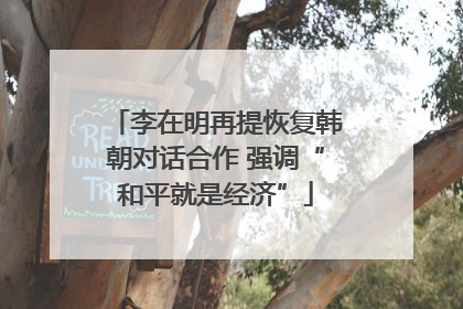 李在明再提恢复韩朝对话合作 强调“和平就是经济”