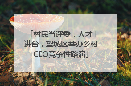 村民当评委，人才上讲台，望城区举办乡村CEO竞争性路演