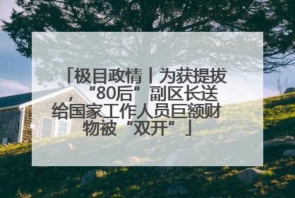 极目政情丨为获提拔，“80后”副区长送给国家工作人员巨额财物被“双开”