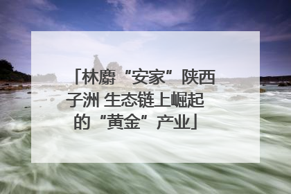 林麝“安家”陕西子洲 生态链上崛起的“黄金”产业