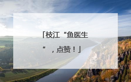 枝江“鱼医生”，点赞！