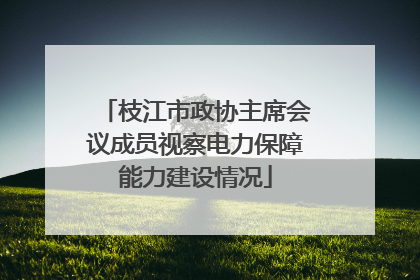 枝江市政协主席会议成员视察电力保障能力建设情况