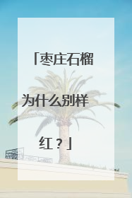 枣庄石榴为什么别样红？