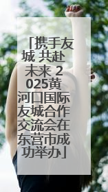 携手友城 共赴未来 2025黄河口国际友城合作交流会在东营市成功举办