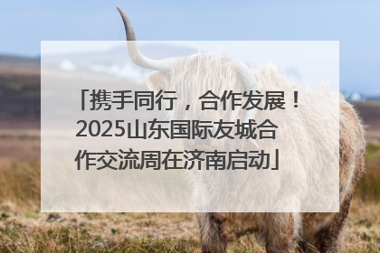 携手同行，合作发展！2025山东国际友城合作交流周在济南启动