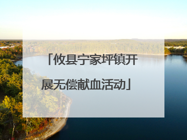 攸县宁家坪镇开展无偿献血活动