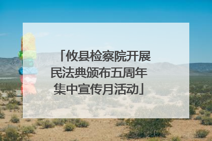 攸县检察院开展民法典颁布五周年集中宣传月活动